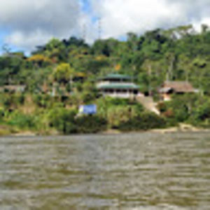 Meet your Posher, Jackson